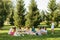Group of young womans sit on picnic blanket in green summer park. Summer weekends