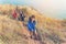 Group young women of hikers walking with backpack on a mountain at sunset. Traveler going camping