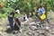 Group of young women volunteers helping to keep nature clean and picking up the garbage from park - Recycling and waste reduction