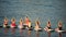 Group of young womens in swimsuits doing yoga and pilates on sup board in calm sea, early morning. Balanced pose -