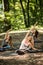 Group of youngsters practice yoga in tranquility of nature