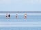 Group of youngsters wading in shallow water near sand flat at lo