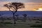 A group of zebras are feeding on the plains of serengeti during sunset and golden sky.