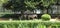 Group of Zebras grazing at Bannerghatta Biological Park