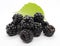 Groupe of Fresh juicy blackberries and leaf on white background