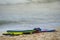 Grouping of 3 boogie boards on the beach in Hawaii