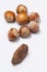 Grouping of Hazelnuts and One Brazil nut