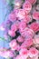 Grouping of pink bridal bouquets- pink roses and baby`s breath.