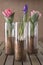 Grouping of Pink and Purple Tulips