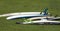 Grouping of various surfboards laying on the grass at a coastal