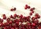 Groups of cherries on a white background in sunny light