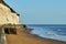 A groups of dog walkers on the beach