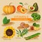 Groups of healthy fruit, vegetables, me Vitamins and minerals foods. Vector flat icons graphic design. Banner header illustration.