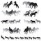 Groups of isolated horses silhouettes-3