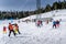 Groups of skiers, kids and adults learning how to ski with instructors