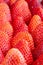 Groups of Strawberries shot close up macro depth of field