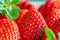 Groups of Strawberries shot close up macro depth of field green leaf