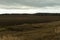 Grove behind a plowed field. Moody landscape