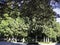 Grove of the Blas Infante promenade in Ronda, Malaga, Andalusia, Spain