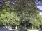 Grove of the Blas Infante promenade in Ronda, Malaga, Andalusia, Spain