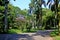 Grove of the botanical garden of Sao Paulo with a lot of trees and green grass.