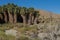 Grove of Palm Trees at Coachella Valley Preserve