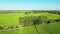 A grove by a river in the middle of rice fields