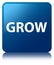 Grow blue square button