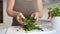 Grow herbs in your home kitchen