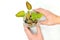 Grow investment, business, make money, interest, and savings concept. Hand holding glass jar of coins with growing plant.