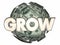 Grow Money Nest Egg More Increase Income