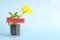 Grow and nurture courage concept. Plant on pot with flower on blue background with copy space.