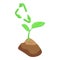 Grow plant content icon isometric vector. Digital influence