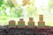 Grow, save and invest money concept. Wooden blocks with increasing stack of coins on natural background.