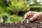 Grow small trees by hand on coins and natural light.