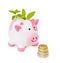 Grow your savings - piggy bank