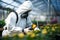 Grower applying biopesticides in a greenhouse