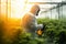 Grower applying biopesticides in a greenhouse, Controlled environment of a greenhouse