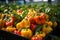 Growing bell pepper crops in a large greenhouse. Vegetable business