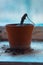 Growing cactus in flower pot in abandoned building