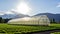 Growing in Controlled Environments: an Industrial Sustainable Greenhouse in a Field, Generative AI