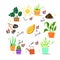 Growing domestic plants Vector illustration