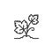 Growing grapes leaf line icon