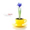 Growing iris flowers in a cup