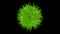 Growing Leaves Bush Animation Graphic Element. Alpha Channel included.