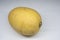 Growing mature golden yellow Chinese Hami melon