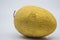 Growing mature golden yellow Chinese Hami melon