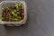 Growing microgreens in plastic container. Healthy macrobiotic food at home. copy space for text