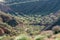 Growing olive trees in a ravine