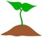 Growing plant from ground icon